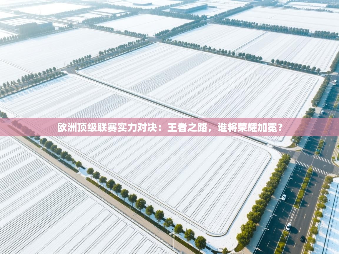 欧洲顶级联赛实力对决:王者之路,谁将荣耀加冕? 第2张