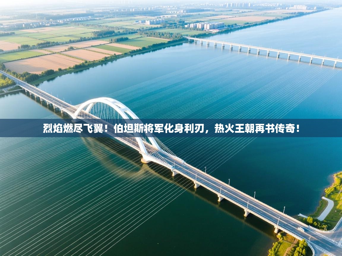 烈焰燃尽飞翼!伯坦斯将军化身利刃,热火王朝再书传奇! 第2张