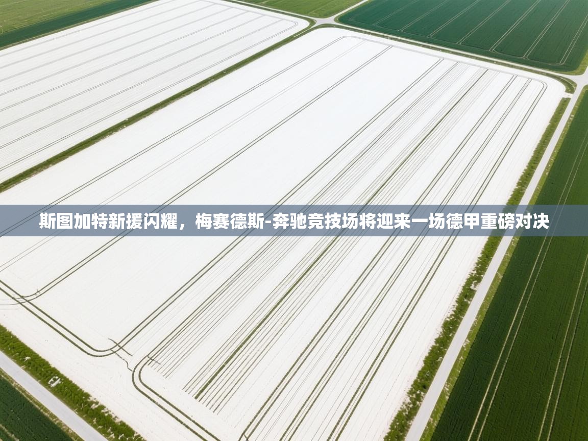 斯图加特新援闪耀，梅赛德斯-奔驰竞技场将迎来一场德甲重磅对决  第2张