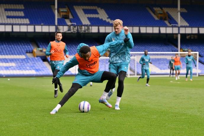 爱游戏网页版入口-南安普顿客场逼平埃弗顿，英超保级压力继续存在的简单介绍