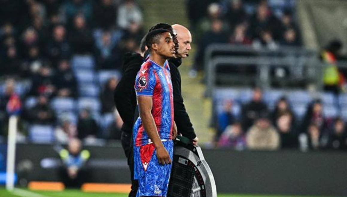 关于狼队客场战胜水晶宫,稳步前进的信息 关于狼队客场战胜水晶宫,稳步前进的信息